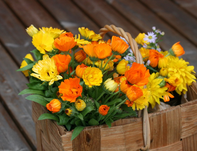 Tervetuloa Teuvalle! Teuva