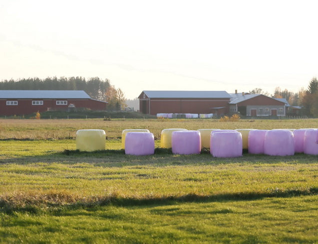 Tervetuloa Teuvalle! Teuva